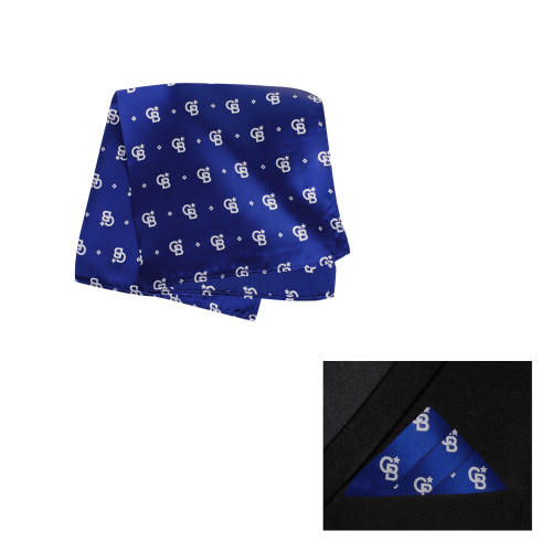 Blue Pocket Square 12 in.-North Star