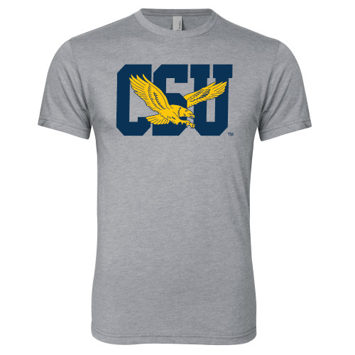  Next Level Heather Grey Triblend Tee - Official Logo