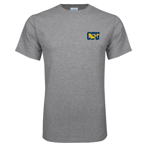 Main Image for  Grey T Shirt