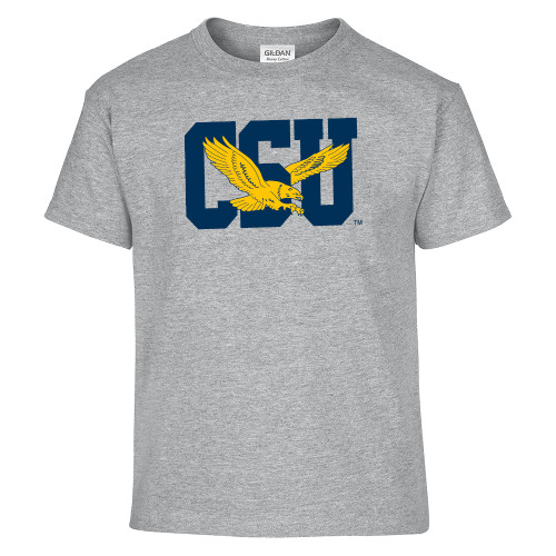 Main Image for  Youth Grey T-Shirt