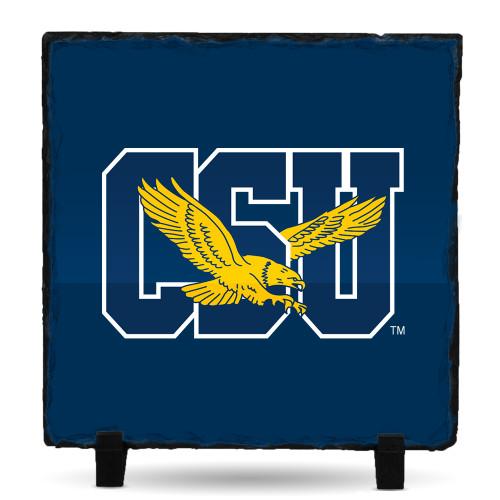  Photo Slate - Official Logo