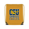 Thumbnail image for  Gold Drawstring Backpack