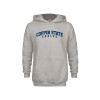 Thumbnail image for  Youth Grey Fleece Hood