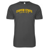 Thumbnail image for  Next Level Charcoal SoftStyle T Shirt