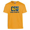 Thumbnail image for  Youth Gold T Shirt