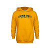 Thumbnail image for  Youth Gold Fleece Hoodie