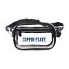 Thumbnail image for  Clear Fanny Pack