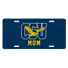 Thumbnail image for  License Plate