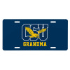 Thumbnail image for  License Plate