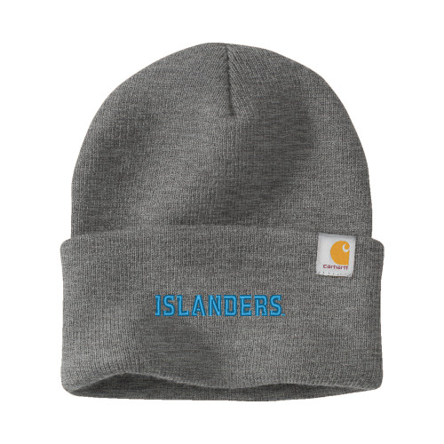 carhartt islanders hat