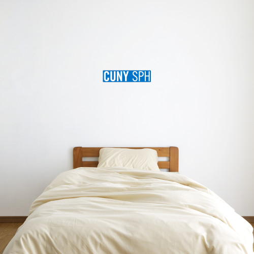 6 in x 1 ft Fan WallSkinz-CUNY SPH