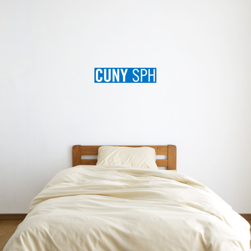 6 in x 2 ft Fan WallSkinz-CUNY SPH