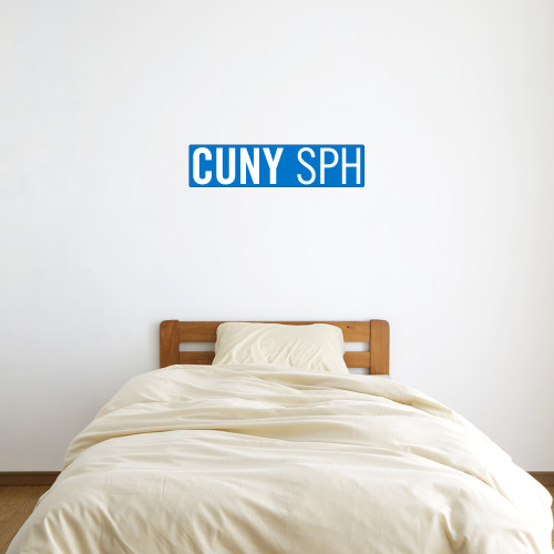 1 ft x 3 ft Fan WallSkinz-CUNY SPH