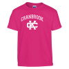 Thumbnail image for  Youth Hot Pink T Shirt