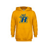 Thumbnail image for  Youth Gold Fleece Hoodie