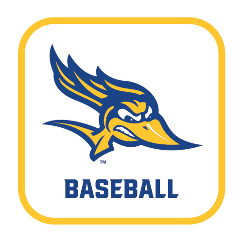  Medium Decal - Baseball