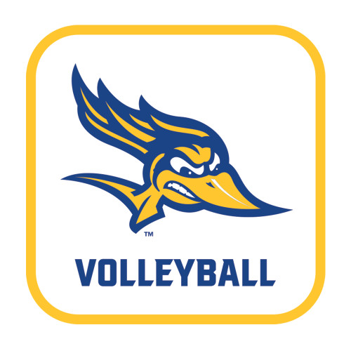  Medium Decal - Volleyball