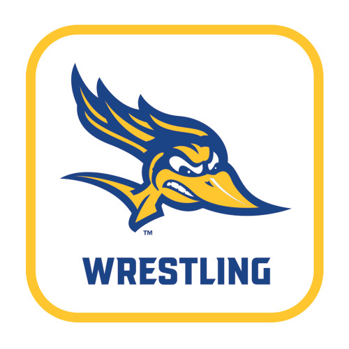  Medium Decal - Wrestling