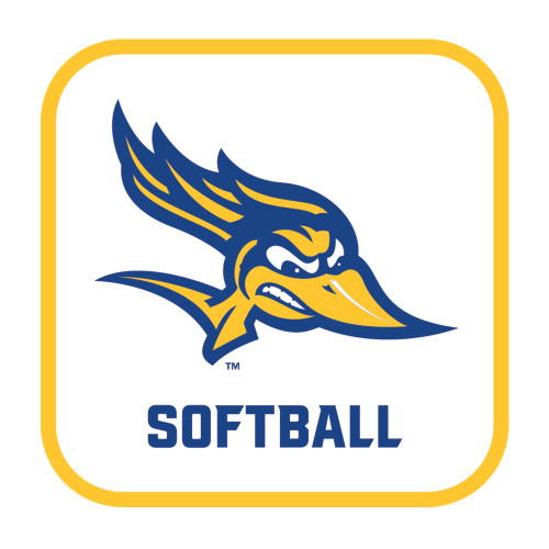  Medium Decal - Softball