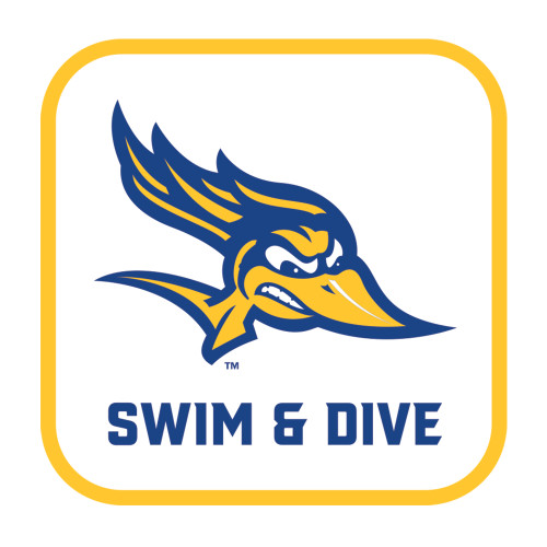  Medium Decal - Swim and Dive