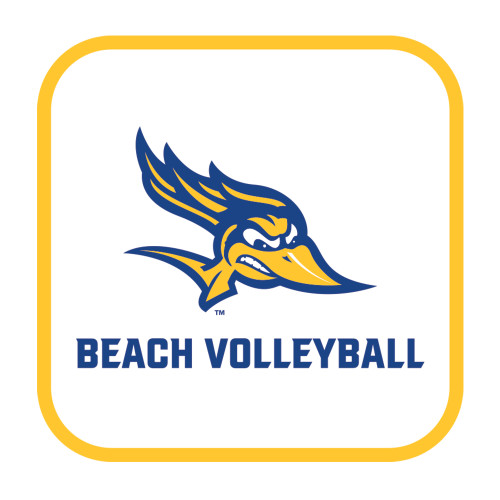  Medium Decal - Beach Volleyball