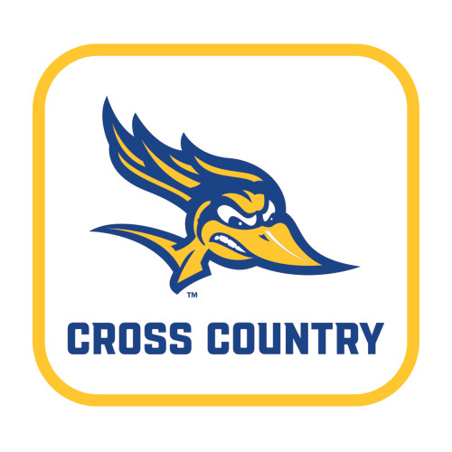  Medium Decal - Cross Country