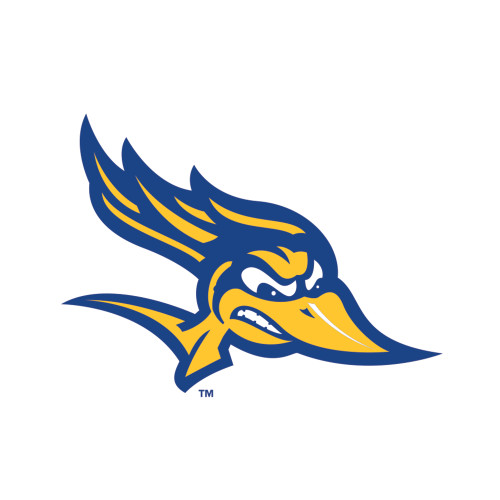  Large Decal - Mascot