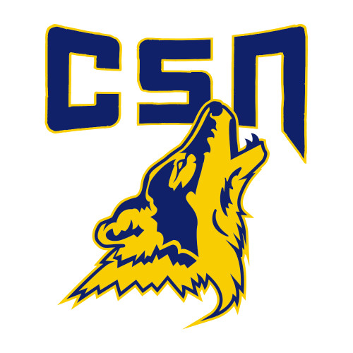  Medium Decal - College of Southern Nevada CSN With Mascot