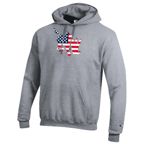  Champion Heather Grey Fleece Hoodie - CSO - USA Blaster