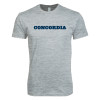 Thumbnail image for  Next Level Heather Grey SoftStyle T Shirt