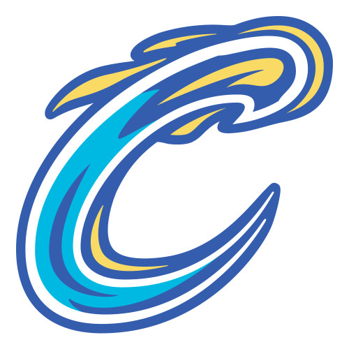  Large Decal - Comet C