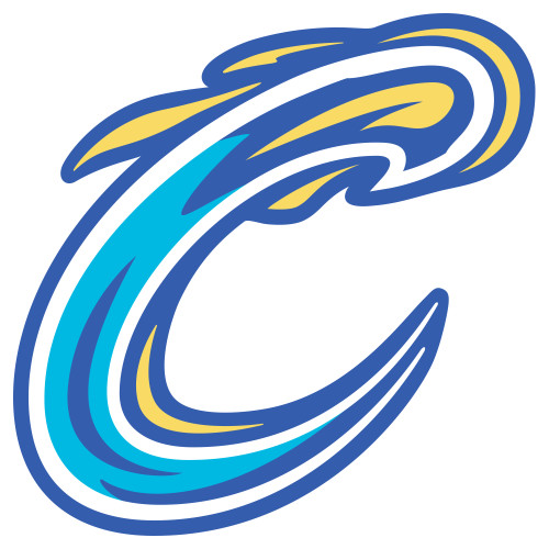  Extra Large Decal - Comet C