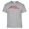 Thumbnail image for  Youth Grey T-Shirt