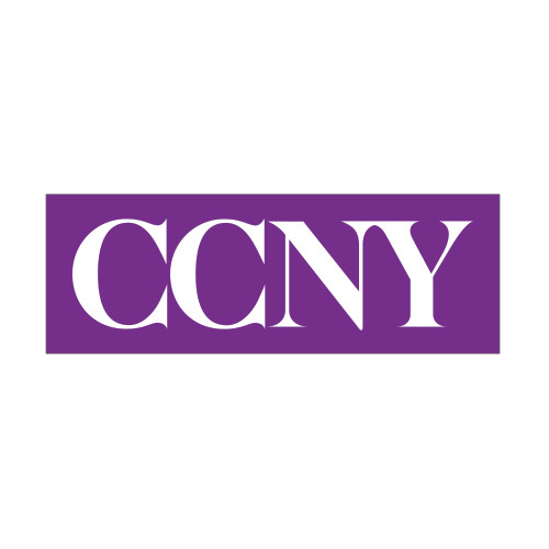 Medium Decal-CCNY, 8 in wide