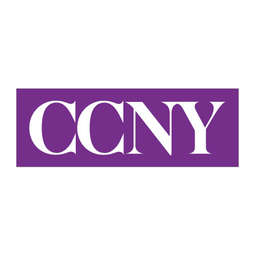 Large Decal-CCNY, 12 in wide