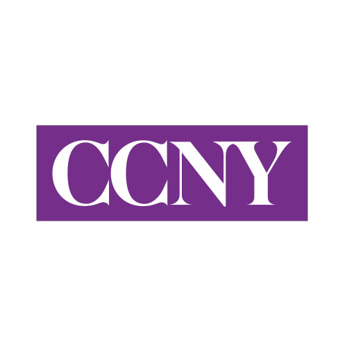 Small Decal-CCNY, 6 in wide