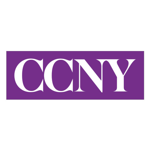 Extra Large Decal-CCNY, 18 in wide