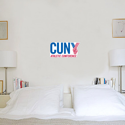 CUNY Athletics 6 in x 1 ft Fan WallSkinz-Official Logo