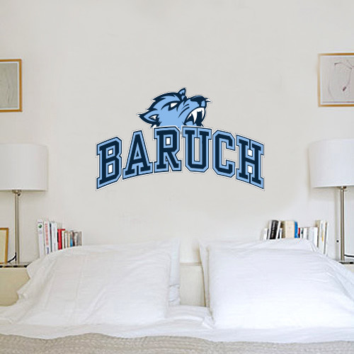 College 2 ft x 4 ft Fan WallSkinz-Baruch Arched