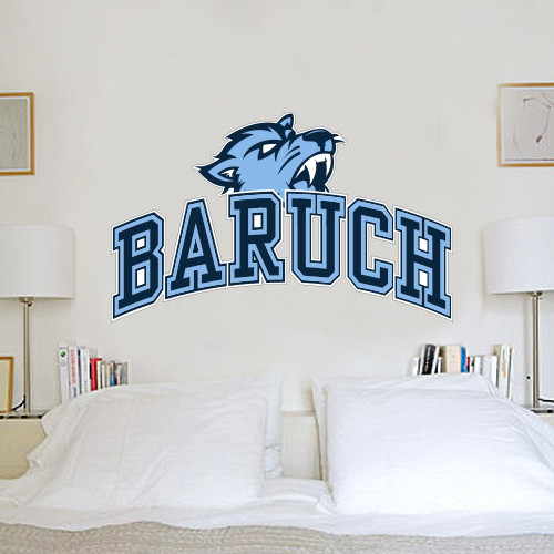 College 3 ft x 6.5 ft Fan WallSkinz-Baruch Arched