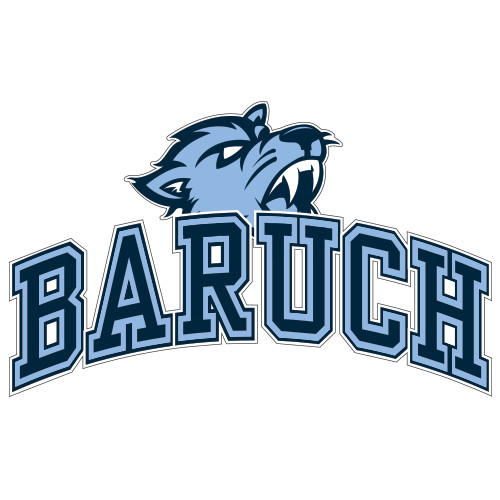 College Extra Large Decal-Baruch Arched, 18 in wide