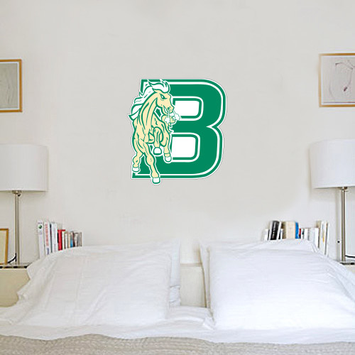 1 ft x 1 ft Fan WallSkinz-Bronoc