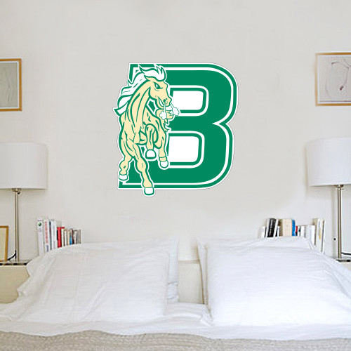 2 ft x 2 ft Fan WallSkinz-Bronoc