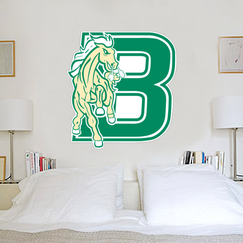 4 ft x 4 ft Fan WallSkinz-Bronoc