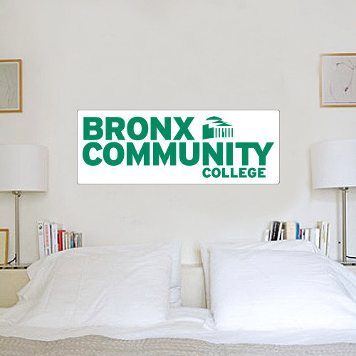 2 ft x 6 ft Fan WallSkinz-Official Logo