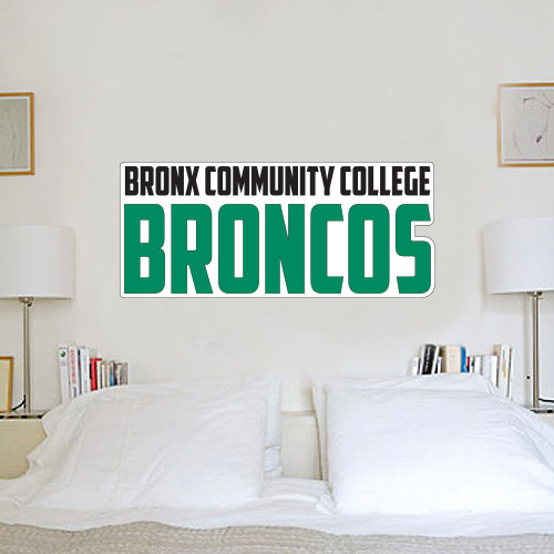2 ft x 6 ft Fan WallSkinz-Bronx Community College Bronocs