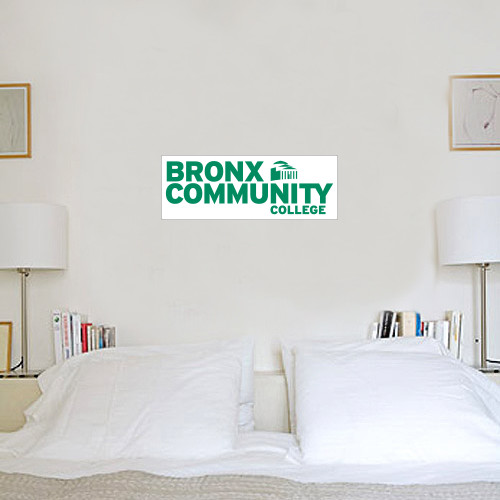 6 in x 2 ft Fan WallSkinz-Official Logo