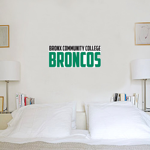6 in x 2 ft Fan WallSkinz-Bronx Community College Bronocs