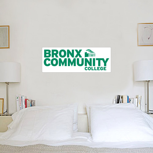 1 ft x 3 ft Fan WallSkinz-Official Logo