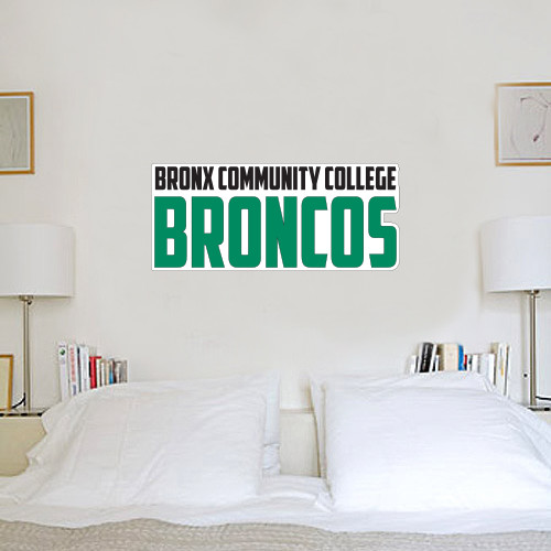 1 ft x 3 ft Fan WallSkinz-Bronx Community College Bronocs